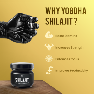 Yogdha Shilajit